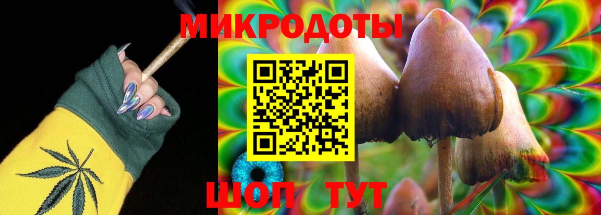 Галлюциногенные грибы Cubensis Красноармейск